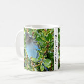 Jay Mug de Steller par BirdingCollectibles (Devant gauche)