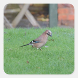 Jay Vierkante Sticker