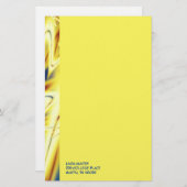 Jazz Briefpapier (Voorkant / Achterkant)