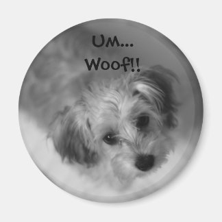 Jazzie Magnet Magneet