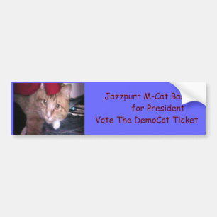 Jazzpurr DemoCat voor pres Bumpersticker