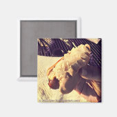 Jazzy Dog magnet Magneet (Voorkant / Achterkant)