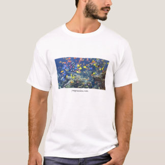 JC Aquatics T-shirt