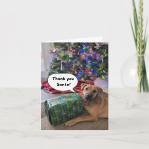 JCAPL Santa Dank u Kaart