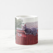 JD la tasse de chat (Centre)