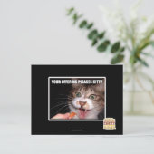 Je aanbieding is een Kat Briefkaart (Staand voorkant)