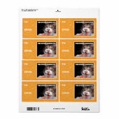 Je aanbieding is een Kat Etiket (Full Sheet)