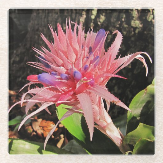 Je aangepaste Glass Onderzetter (Voorkant)