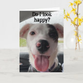 JE BENT **70** MAAKT ME NATUURLIJK BLIJ MET DE KAA KAART (Gele Bloem)