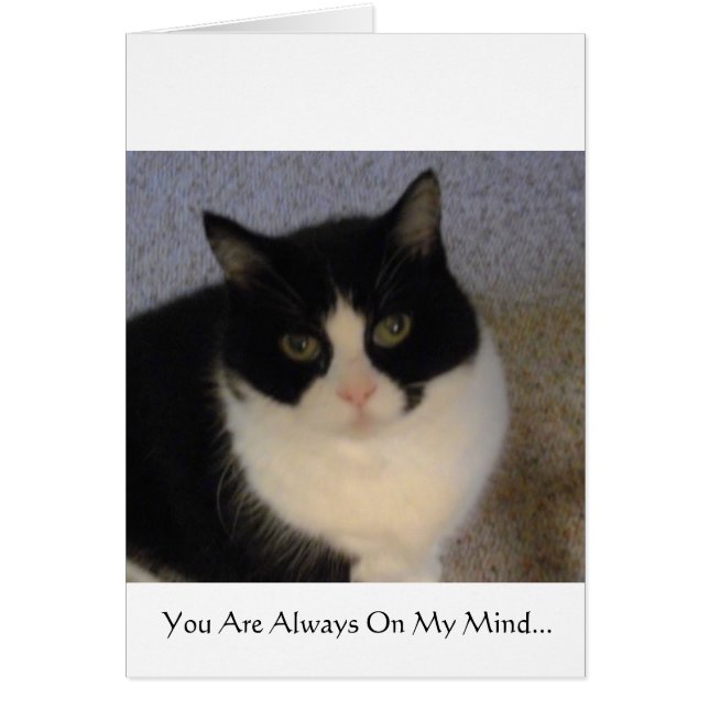 Je bent altijd in mijn gedachten (Voorkant)