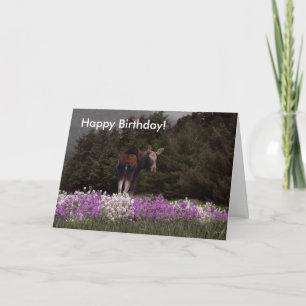Je bent bemand door een Moose! Birthday-kaart Kaart