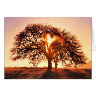 Je bent dol op hart en eiken.