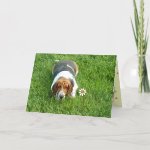 "Je bent een op een miljoen" - een gewoon omdat Ka Kaart