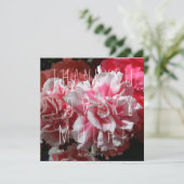 Je bent een Peach. Thank You kaart (Staand voorkant)