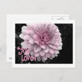 je bent geliefd briefkaart (Voorkant / Achterkant)