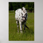 Je bent gescand poster (Voorkant)