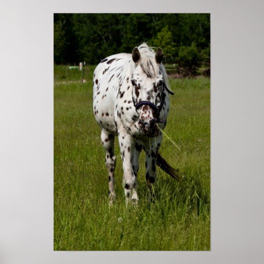 Je bent gescand poster (Voorkant)