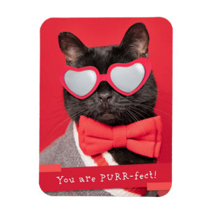 Je bent GESPONNEN-fect Cute Cat Magneet