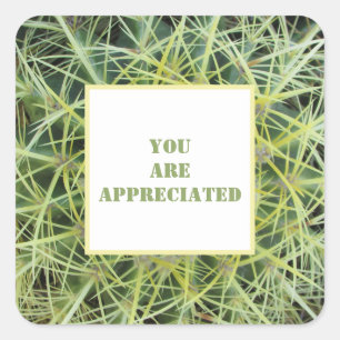 Je bent gewaardeerd met Plant Cactus in woestijn H Vierkante Sticker