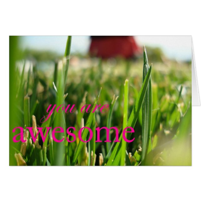 Je bent Geweldige (Voorkant Horizontaal)