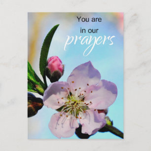 Je bent in de congregatie van onze gebeden kerk briefkaart