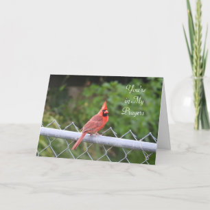 Je bent in mijn gebeden   Cardinal Fotografiekaart Kaart