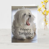 JE BENT MIJN ** FAVORIETE DIERENARTS ** VERJAARDAG KAART (Gele Bloem)