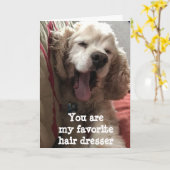 JE BENT MIJN FAVORIETE KAPPER**** VERJAARDAG KAART (Gele Bloem)