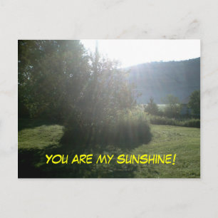 JE BENT MIJN SUNSHINE briefkaart