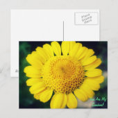 Je bent mijn zonneschijn. briefkaart (Voorkant / Achterkant)