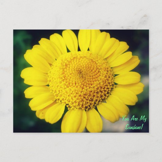 Je bent mijn zonneschijn. briefkaart (Voorkant)