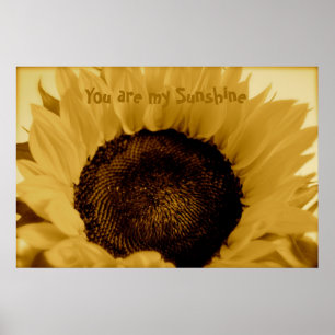 Je bent mijn zonneschijn poster