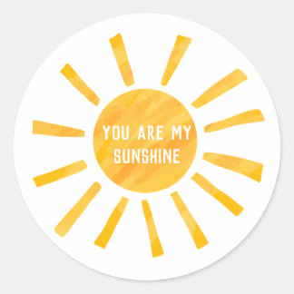 Je bent mijn zonneschijnaarster ronde sticker