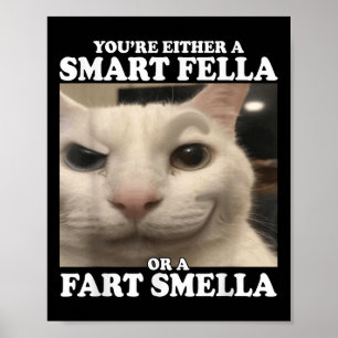 Je bent óf een slimme vent óf een scheet ruiker Gr Poster