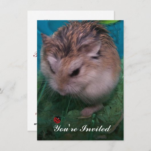 Je bent uitgenodigd kaart (Voorkant / Achterkant)