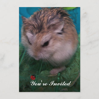 Je bent uitgenodigd kaart