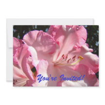 Je bent uitgenodigd. Tot ziens op het feest. uitno