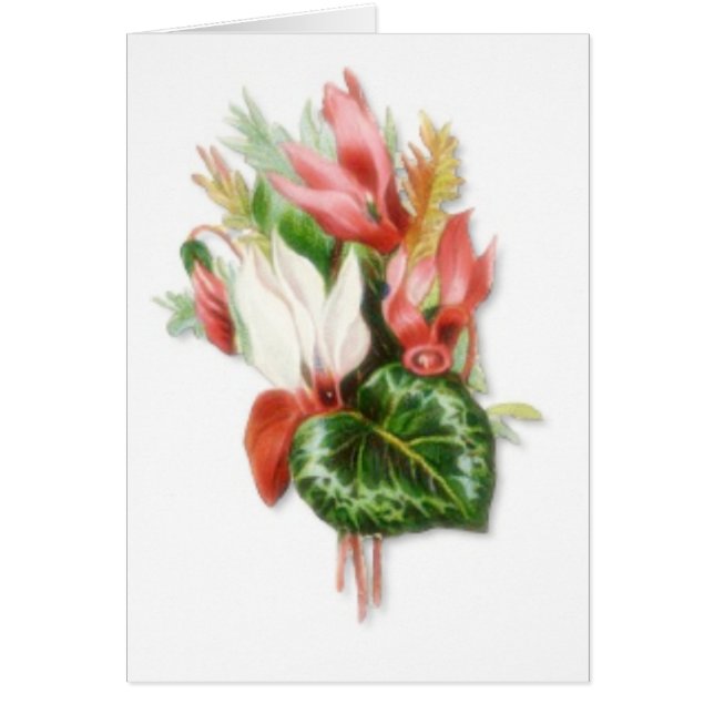 Je bent welkom (Voorkant)