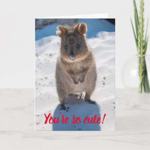 Je bent zo Cute Quokka op de Beach Valentijn Kaart