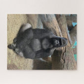 JE BIG GORILLA-puzzel Legpuzzel (Horizontaal)