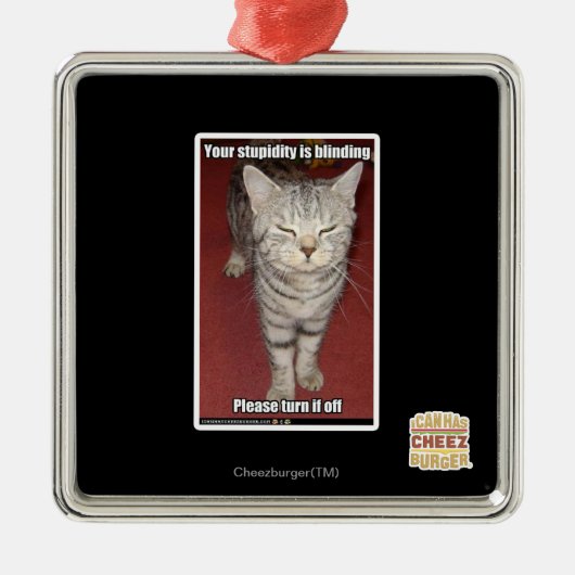 Je domheid knippert 2 metalen ornament (Voorkant)