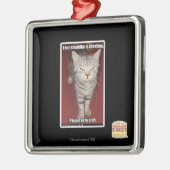 Je domheid knippert 2 metalen ornament (Links)