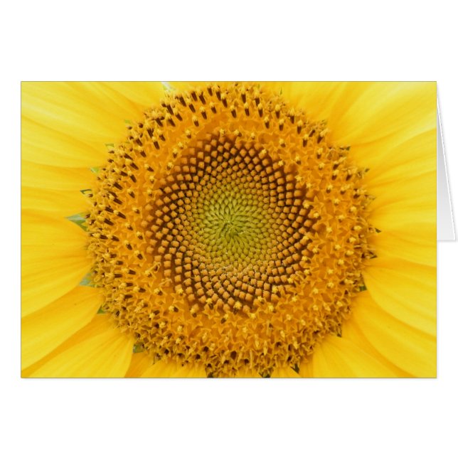 Je een glimlach sturen (Voorkant Horizontaal)