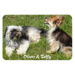 Je favoriete foto toevoegen magneet