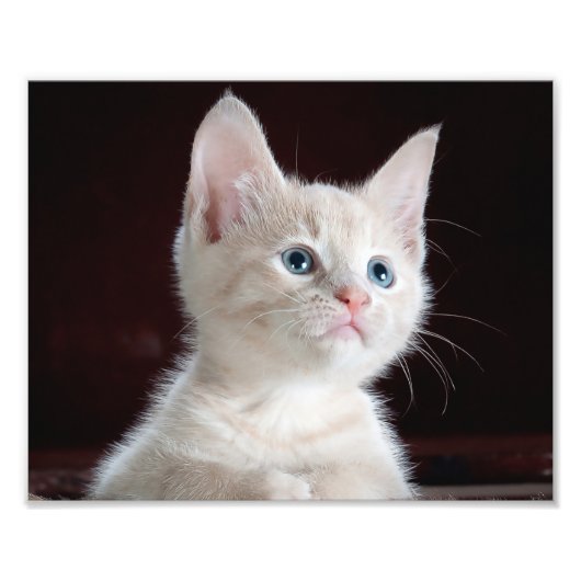 Je fotoaangepaste afdrukken foto afdruk (Voorkant)