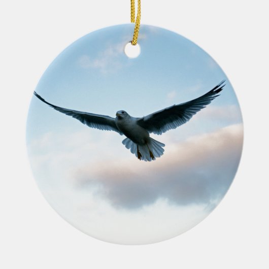 Je gratis gewoon LIke Jonathan Livingston Keramisch Ornament (Voorkant)