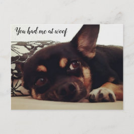 Je had me bij de woof. Chihuahua briefkaart. Briefkaart