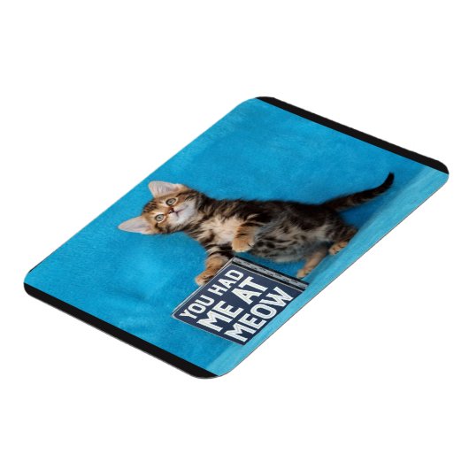 Je had me bij Meow Bengal Kitten Magneet (Linkerzijde)