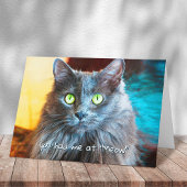 Je had me bij Meow Schattige Grey Cat Photography Kaart