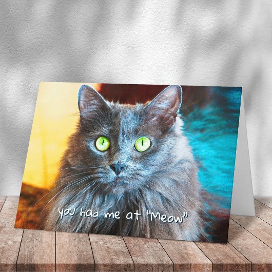 Je had me bij Meow Schattige Grey Cat Photography Kaart